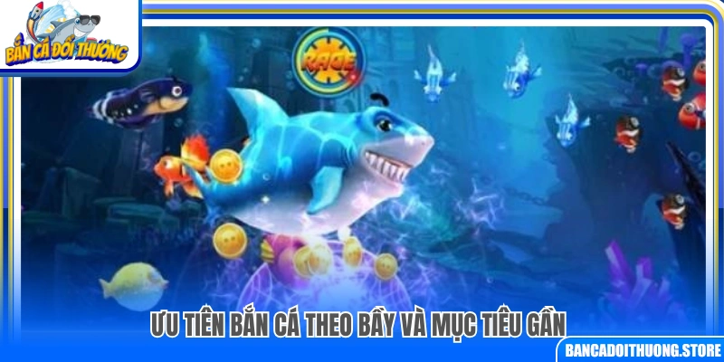 Chiến thuật bắn cá theo nhóm và mục tiêu gần