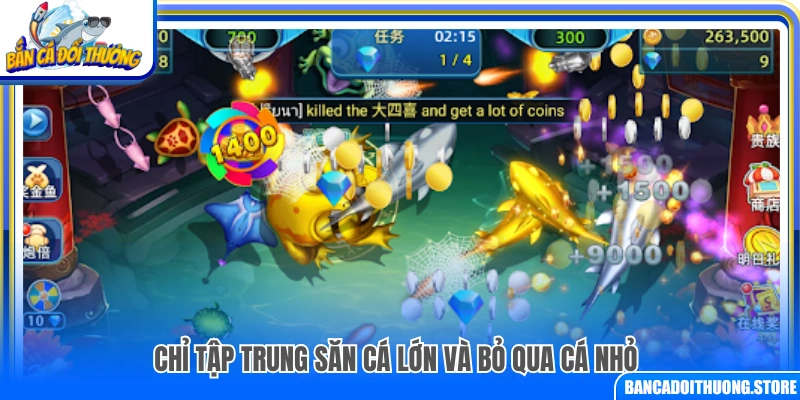 Chỉ tập trung săn cá lớn và không quan tâm cá nhỏ